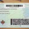 new brunswick drivers license back