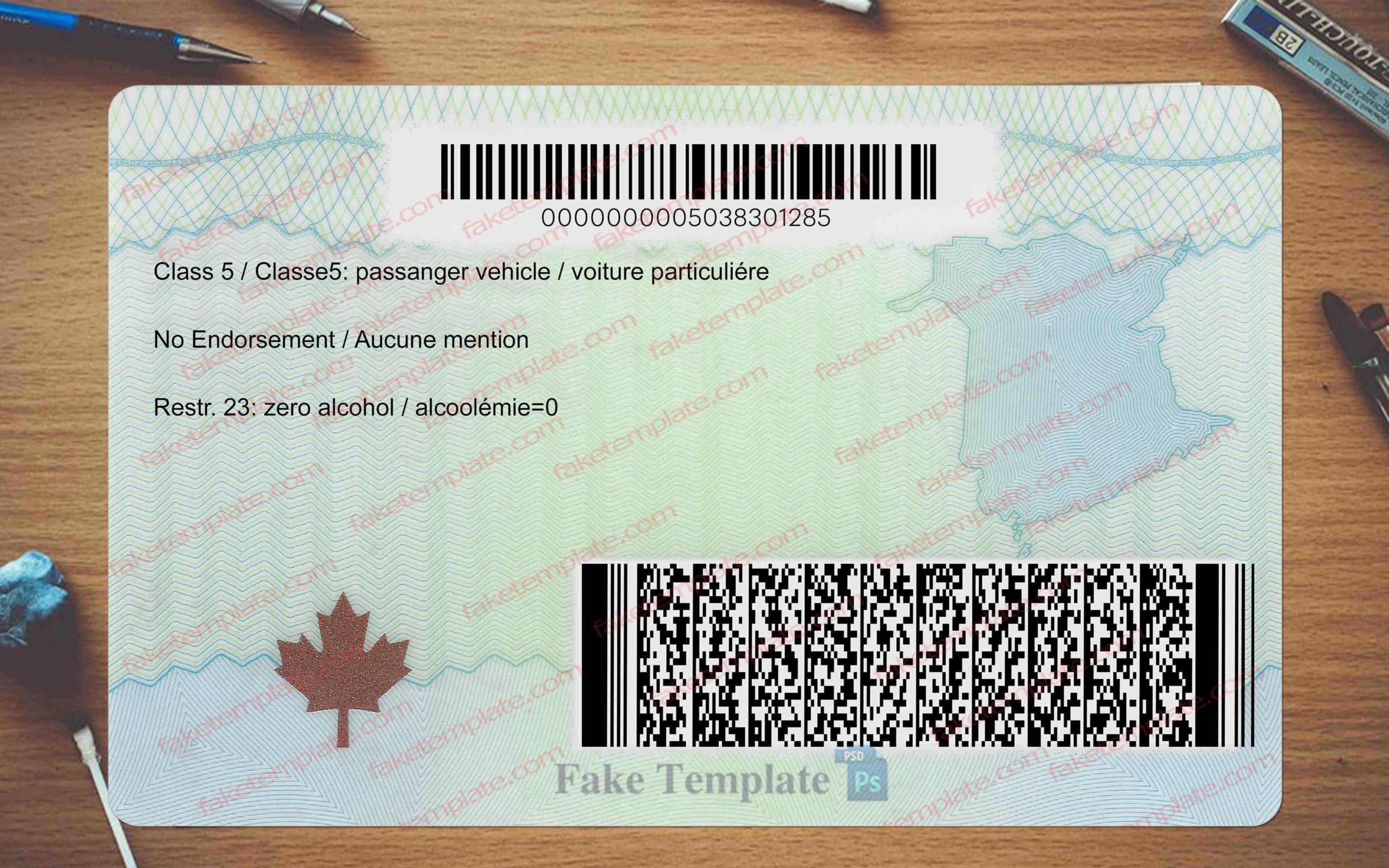 new brunswick drivers license back