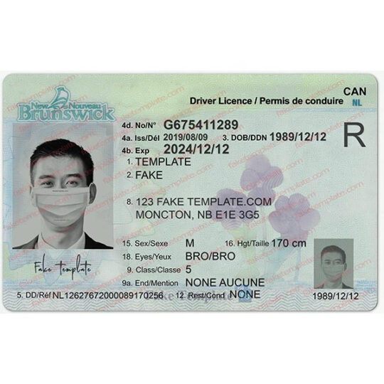 new brunswick drivers license psd