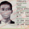 fake south africa passport