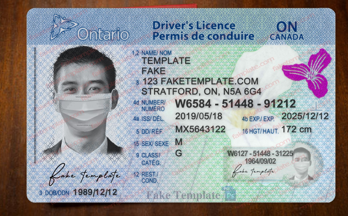 Ontario Drivers License Template