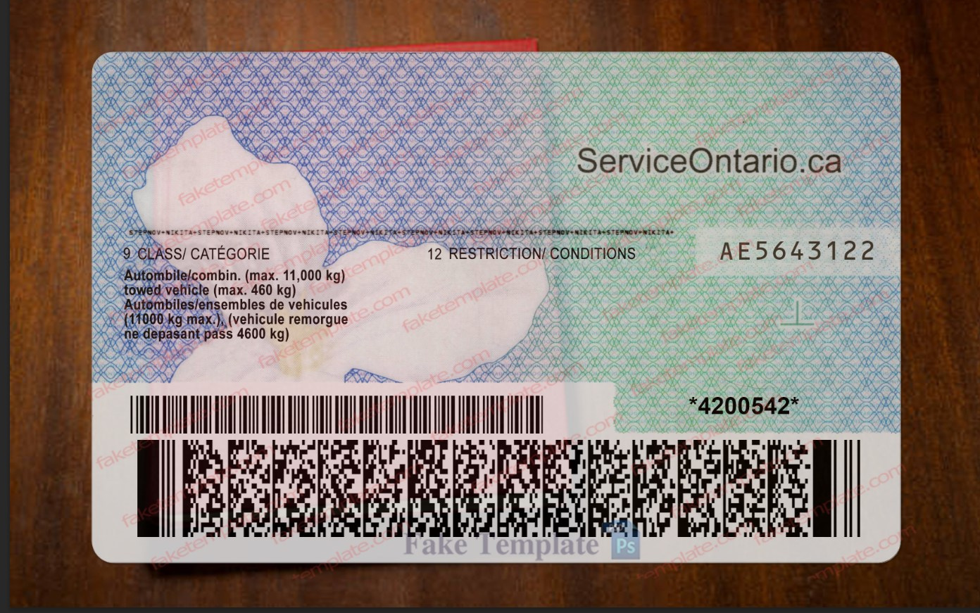 ontario drivers license back 