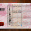 polish driver license back