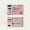 polish driver license template