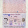 singapore passport psd free