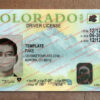 fake colorado driver's license