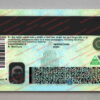 back of colorado driver's license