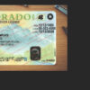 fake colorado drivers license