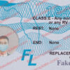 downloadable editable blank florida drivers license template