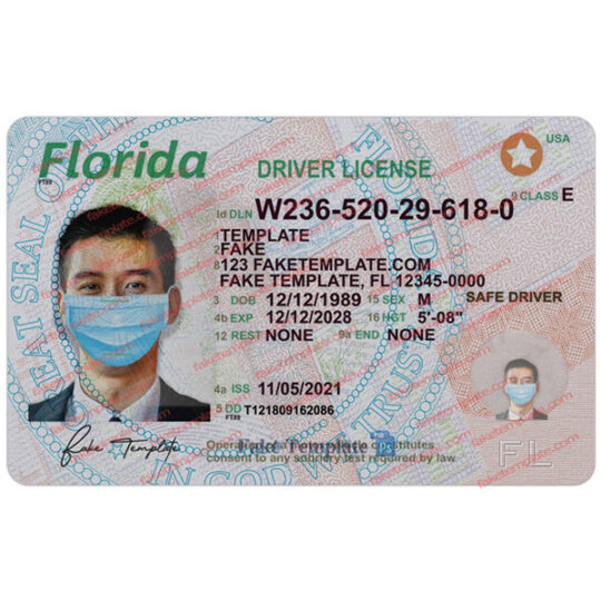 florida drivers license template psd free