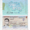 ireland passport template