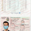 mexican passport template