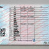 turkish driver license back