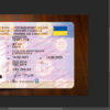 ukraine driver license template