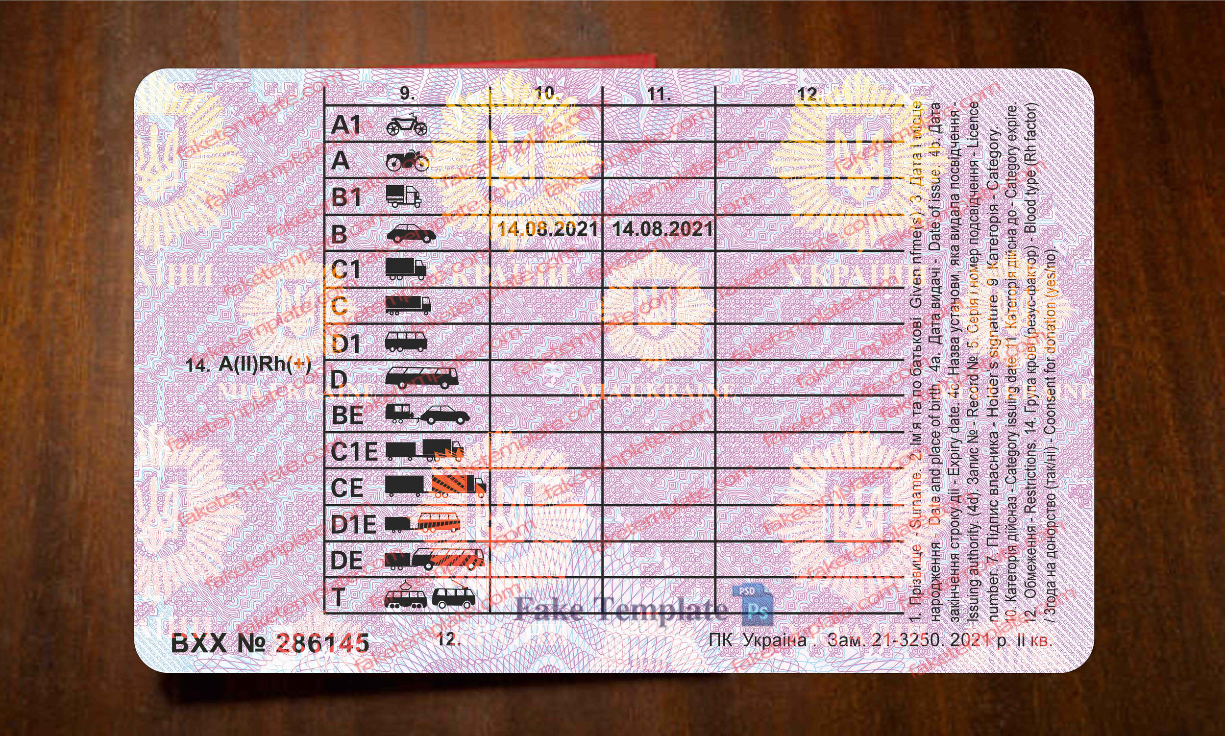 ukraine drivers licence back