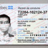 quebec drivers license template