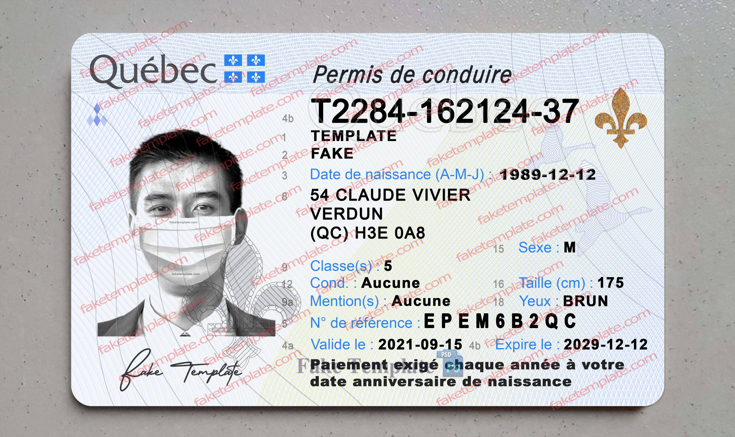 quebec drivers license template