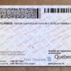 quebec driver license back