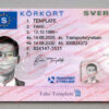 sweden driver license template