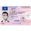 editable sweden drivers license