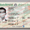 saskatchewan drivers license template