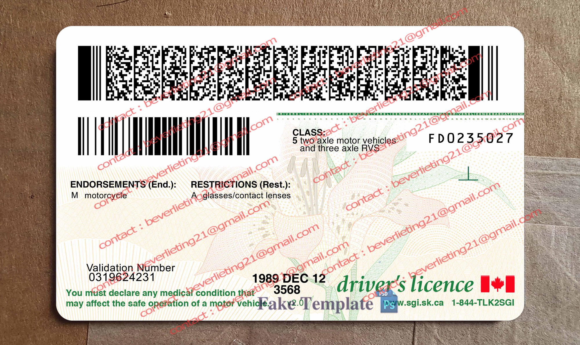 saskatchewan drivers license back