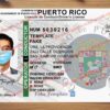 puerto rico driver license template