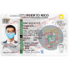 blank puerto rico driver license