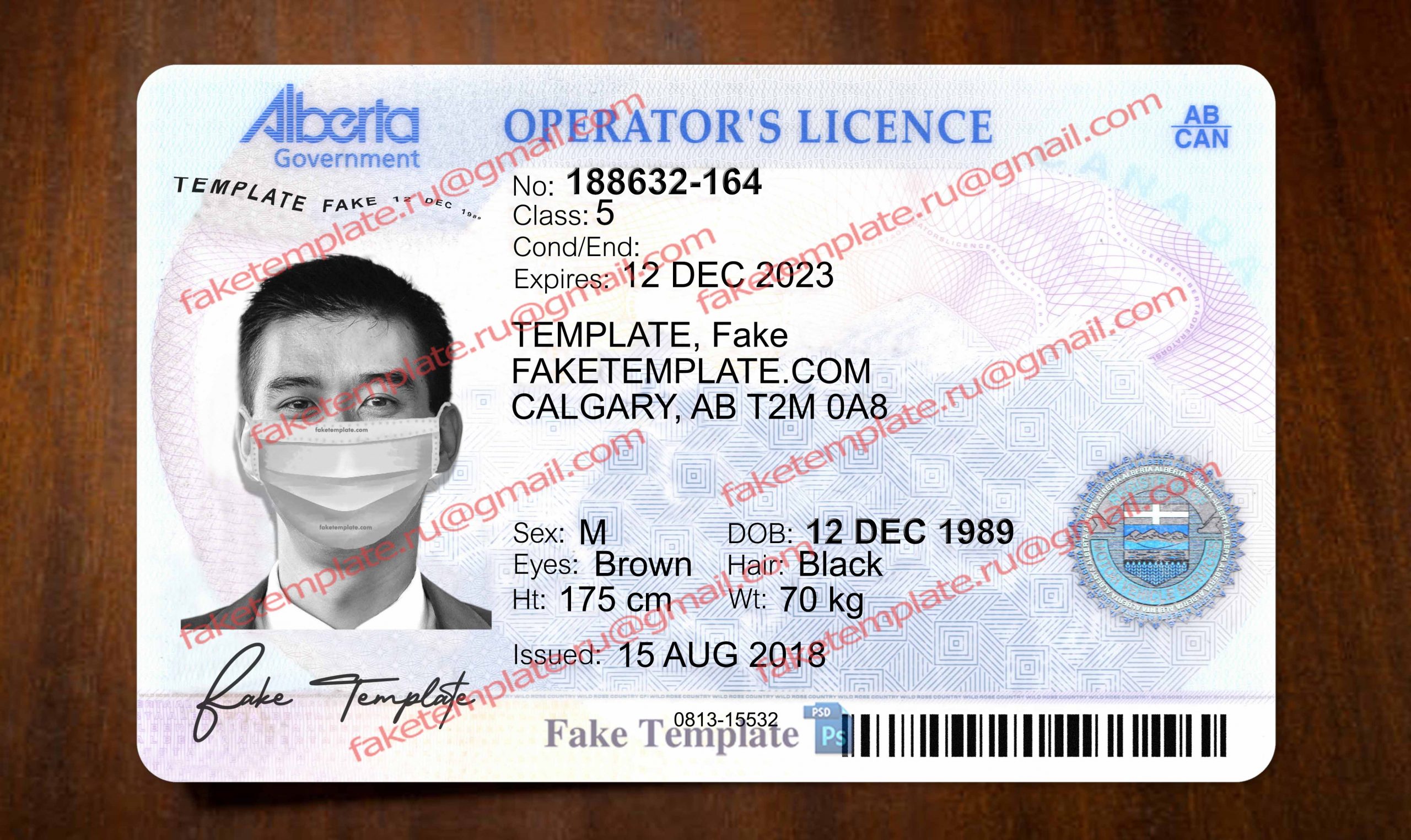 blank alberta drivers license template