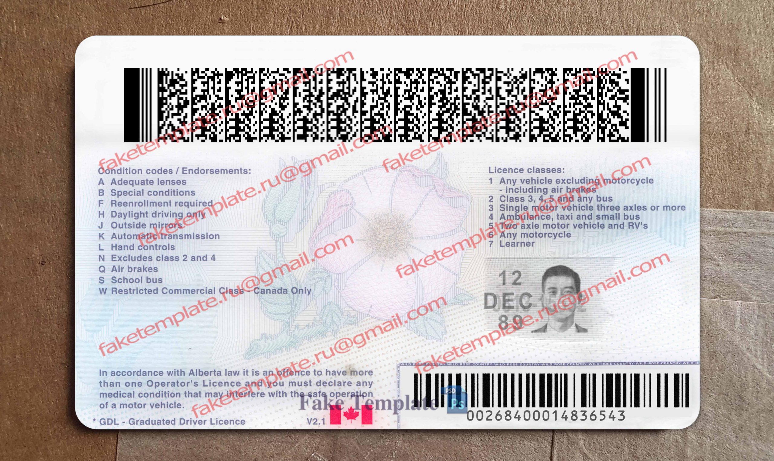 alberta drivers license back