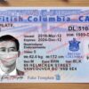 canada bc driver license psd