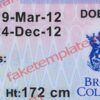 british columbia drivers license psd