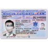 bc drivers license psd