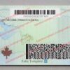 newfoundland driver license back