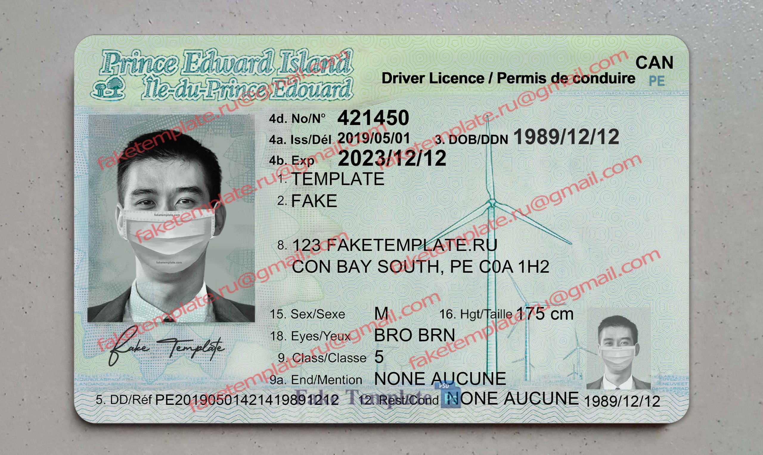 prince edward island driver license template