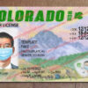 colorado drivers license template download