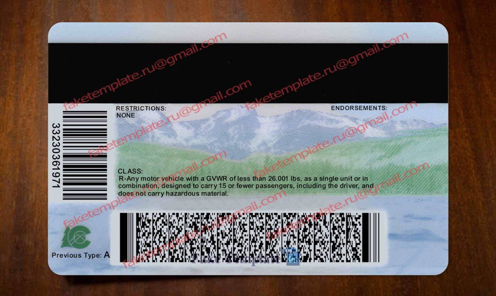 back colorado drivers license