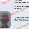 washington dc drivers license psd